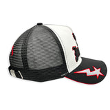 THE DREAM TRUCKER HAT